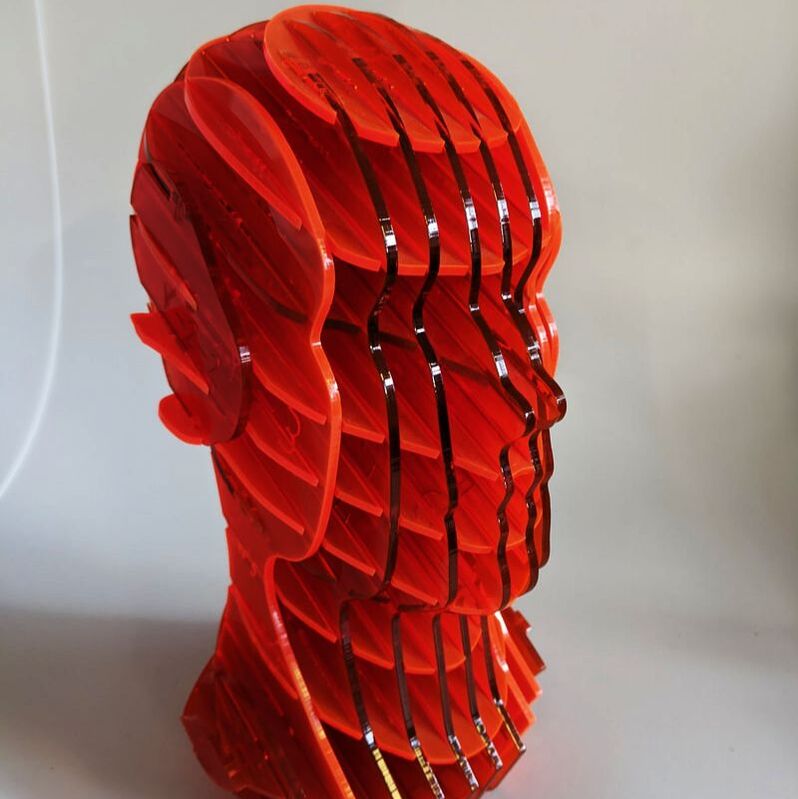 Picture of a 3D laser cut head.